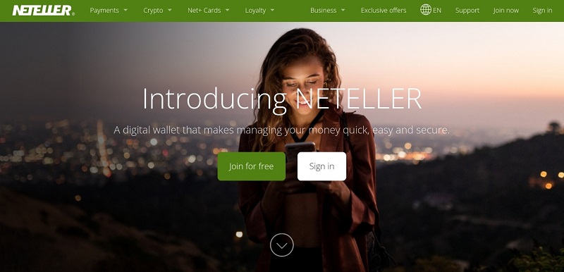 Neteller website preview
