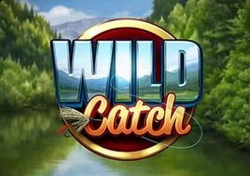 Roku casino