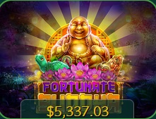 Playcroco casino