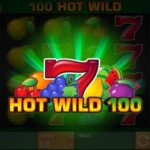 100 Hot Wild