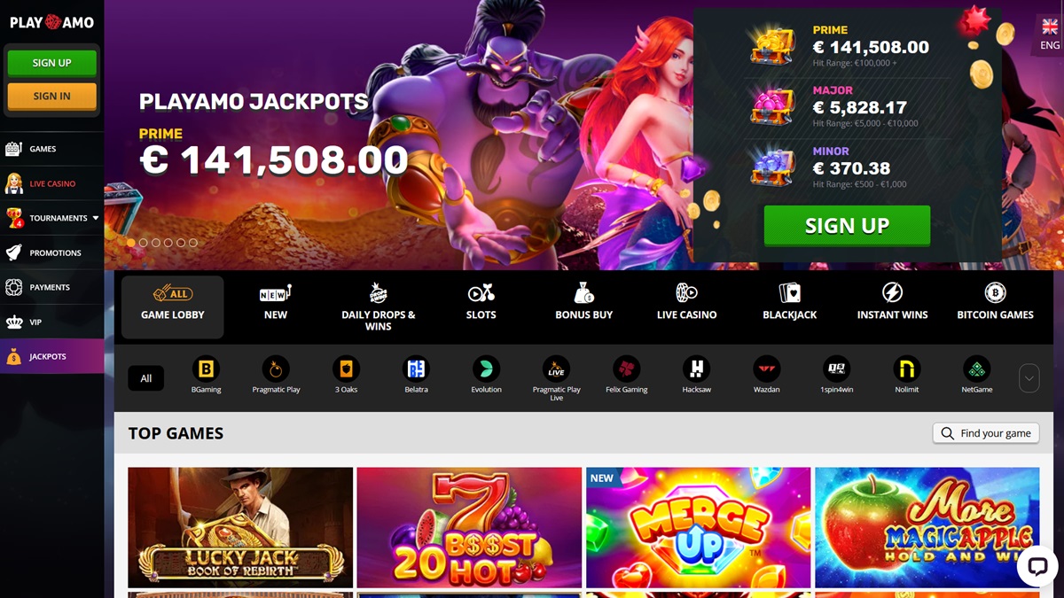 Náhled webových stránek online casina Playamo