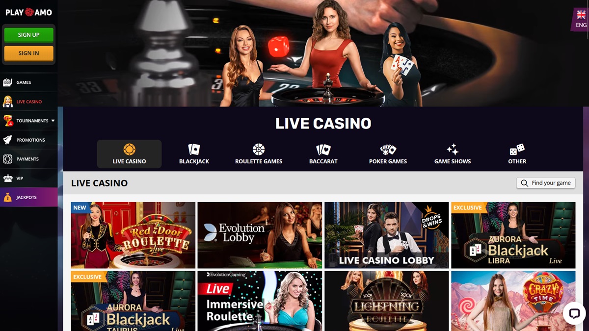 Náhled webových stránek online casina Playamo