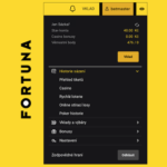 Fortuna deposits