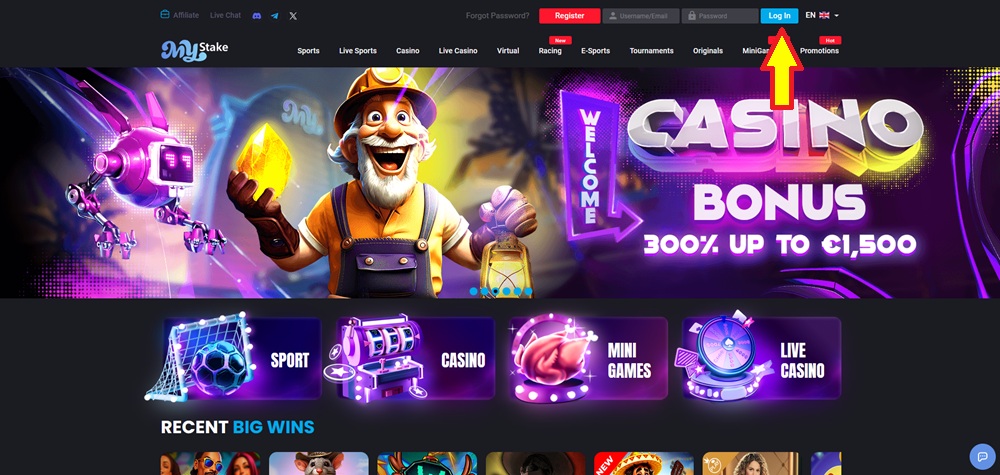 MyStake login úvod en