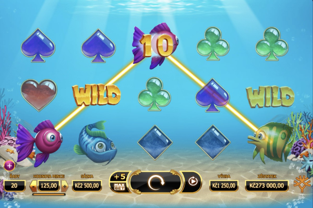 Golden Fish Tank foto3