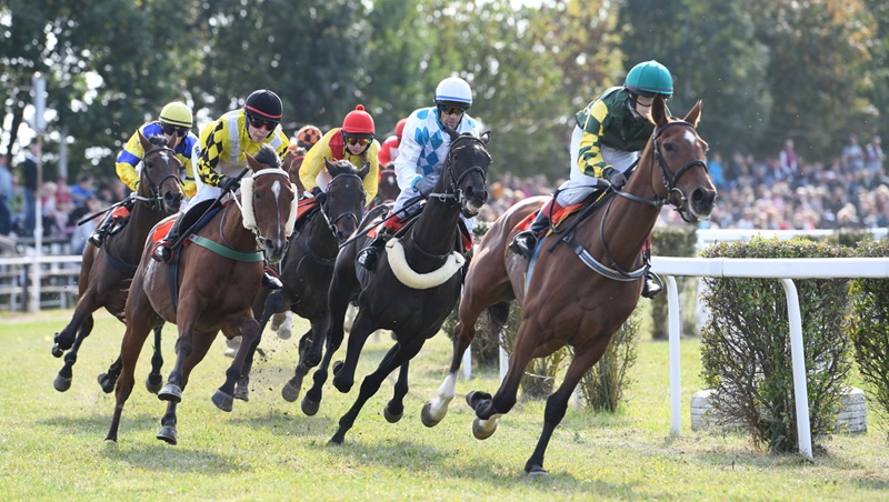 Horse racing betting