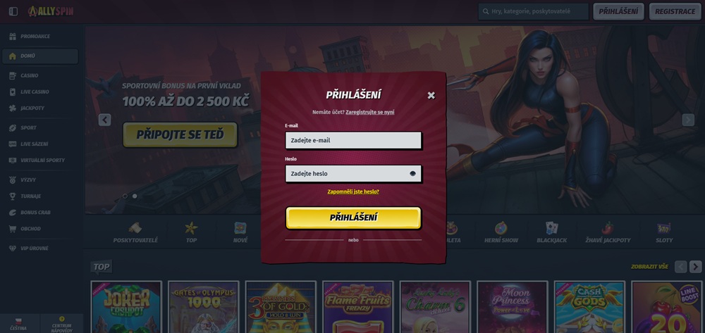 AllySpin login window
