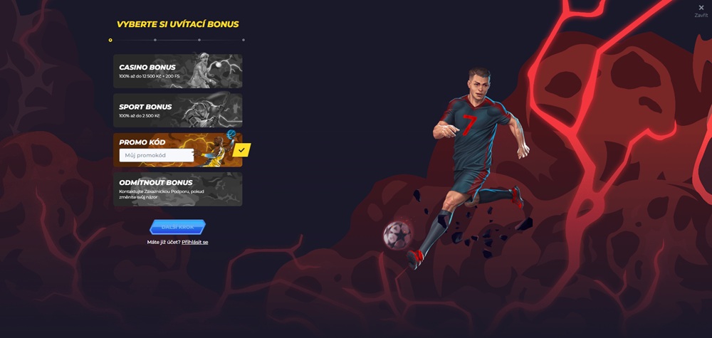 Field for entering a promo code